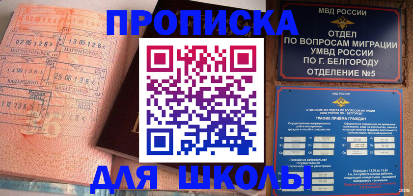 прописка иностранных граждан в Козьмодемьянске